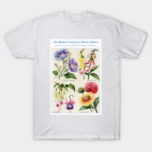 Flower watercolor illustration (1915) T-Shirt